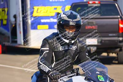 media/Jul-19-2025-TrackDaz (Sat) [[ff1509a44a]]/Around the Pits/